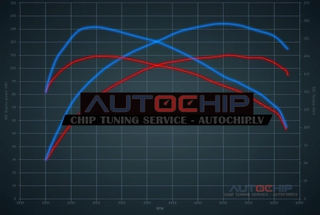 Chiptuning Volkswagen Polo 1.0 TSI 110hp Petrol