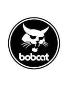 Bobcat