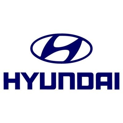 Tuning file Hyundai Starex
